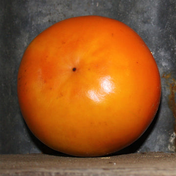Fuyu