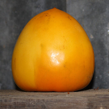 Tanenashi